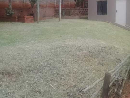 the_gardenman-Before and after