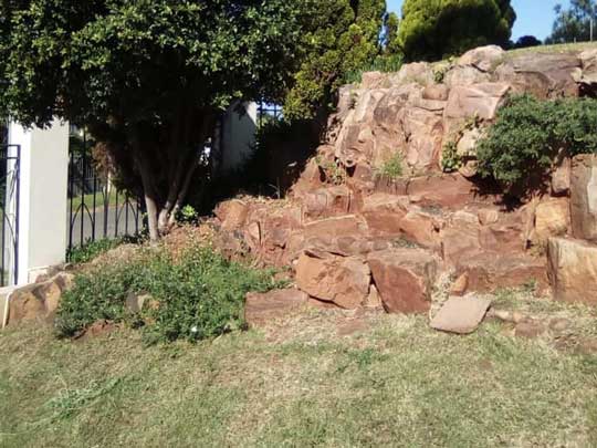 the_gardenman-Removal-of-some-trees-and-replanting-some-plants