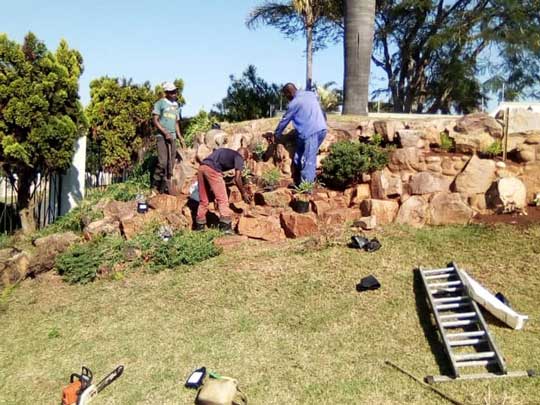 the_gardenman-Removal-of-some-trees-and-replanting-some-plants