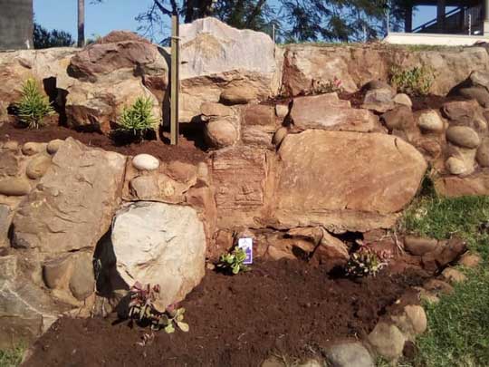 the_gardenman-Removal-of-some-trees-and-replanting-some-plants
