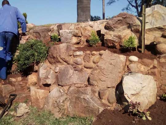 the_gardenman-Removal-of-some-trees-and-replanting-some-plants