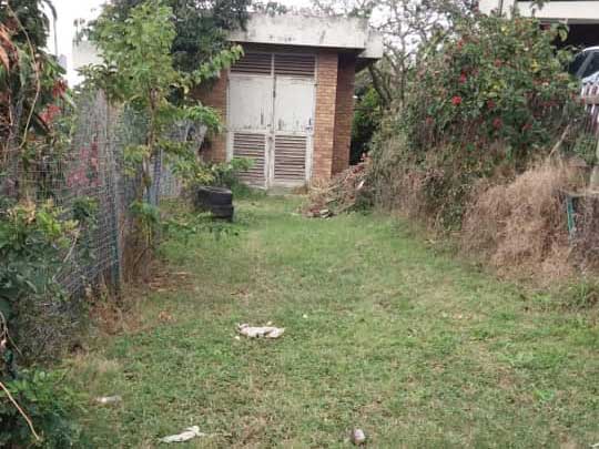 the_gardenman-cutting and grooming