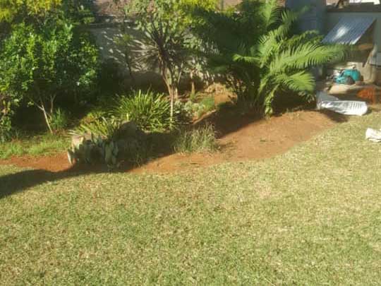 the_gardenman-garden cleanin