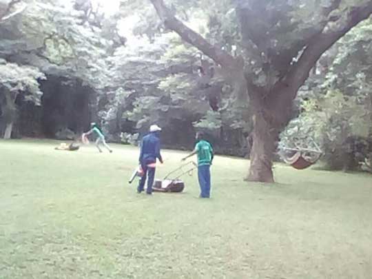 the_gardenman-weekly-cleanup